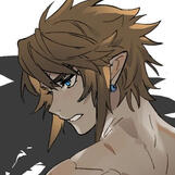 Twilight Link | LoZ: Twilight Princess