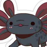 Axolotl